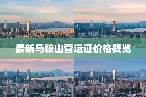 最新馬鞍山營運證價格概覽