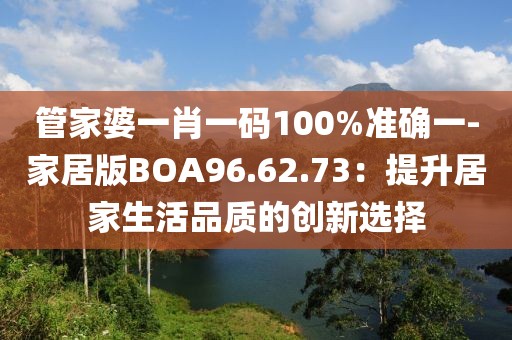 管家婆一肖一碼100%準(zhǔn)確一-家居版BOA96.62.73：提升居家生活品質(zhì)的創(chuàng)新選擇