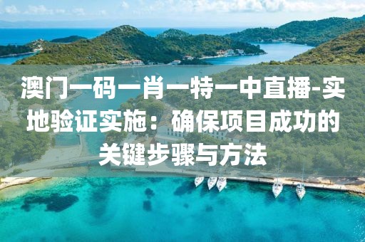 澳門一碼一肖一特一中直播-實地驗證實施：確保項目成功的關(guān)鍵步驟與方法