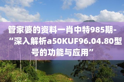 管家婆的資料一肖中特985期-“深入解析a50KUF96.04.80型號(hào)的功能與應(yīng)用”