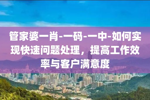 管家婆一肖-一碼-一中-如何實現(xiàn)快速問題處理，提高工作效率與客戶滿意度