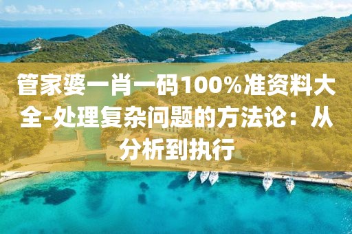 管家婆一肖一碼100%準資料大全-處理復雜問題的方法論：從分析到執(zhí)行