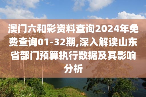 澳門六和彩資料查詢2024年免費(fèi)查詢01-32期,深入解讀山東省部門預(yù)算執(zhí)行數(shù)據(jù)及其影響分析