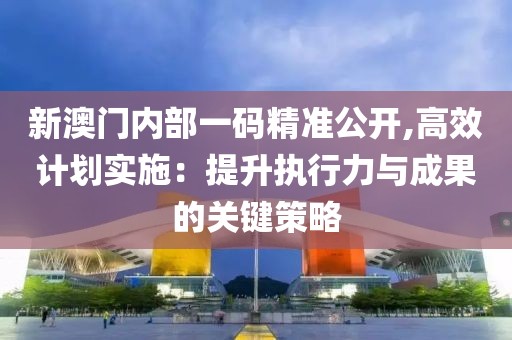 新澳門內(nèi)部一碼精準(zhǔn)公開,高效計(jì)劃實(shí)施：提升執(zhí)行力與成果的關(guān)鍵策略