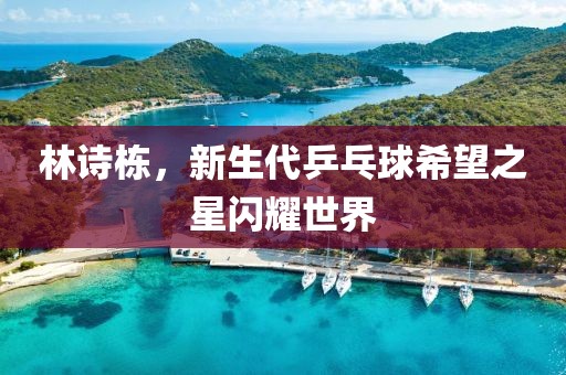 林詩棟，新生代乒乓球希望之星閃耀世界