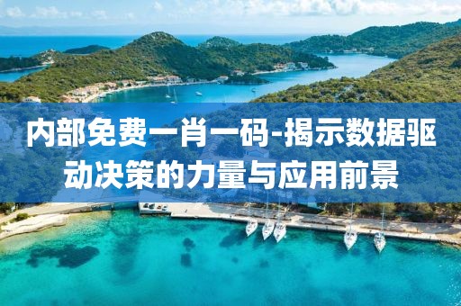 內(nèi)部免費一肖一碼-揭示數(shù)據(jù)驅(qū)動決策的力量與應用前景