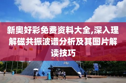 新奧好彩免費資料大全,深入理解磁共振波譜分析及其圖片解讀技巧