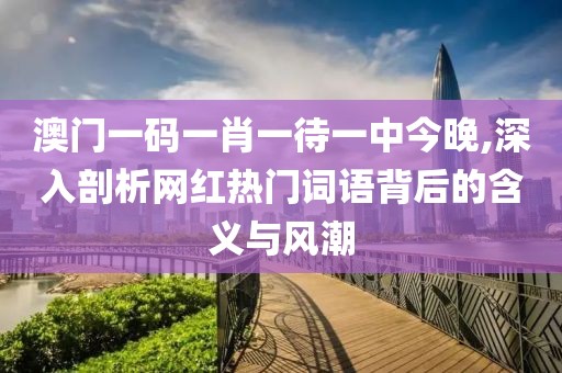 澳門一碼一肖一待一中今晚,深入剖析網(wǎng)紅熱門詞語背后的含義與風潮