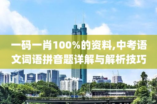 一碼一肖100%的資料,中考語文詞語拼音題詳解與解析技巧