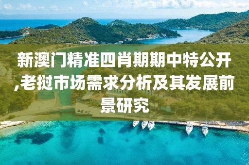 新澳門精準(zhǔn)四肖期期中特公開,老撾市場需求分析及其發(fā)展前景研究