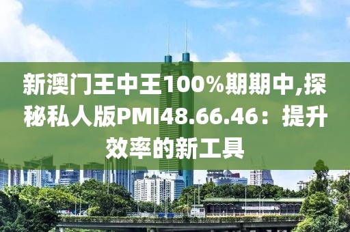 新澳門王中王100%期期中,探秘私人版PMI48.66.46：提升效率的新工具