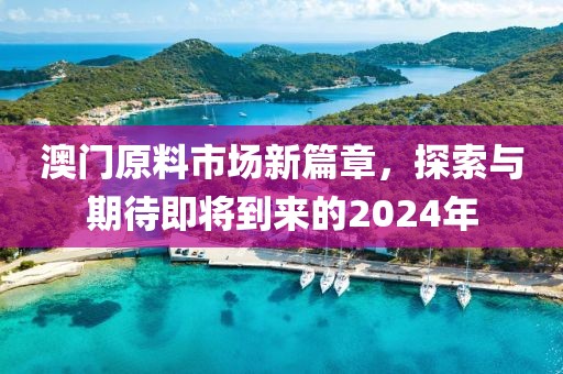 澳門原料市場新篇章，探索與期待即將到來的2024年