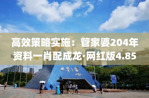 高效策略實(shí)施：管家婆204年資料一肖配成龍·網(wǎng)紅版4.85