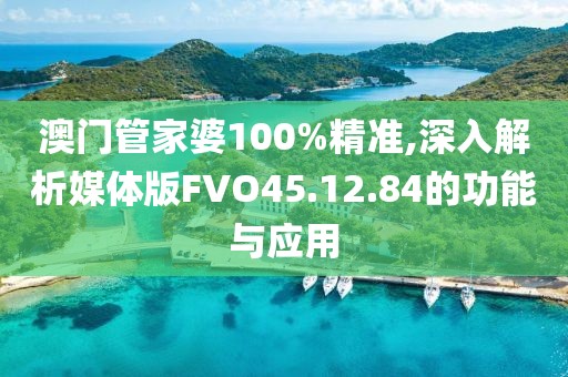 澳門管家婆100%精準(zhǔn),深入解析媒體版FVO45.12.84的功能與應(yīng)用