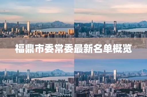 福鼎市委常委最新名單概覽