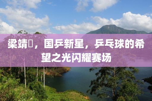 梁靖崑，國乒新星，乒乓球的希望之光閃耀賽場