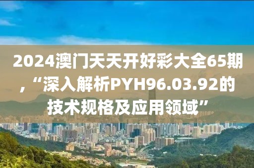2024澳門天天開好彩大全65期,“深入解析PYH96.03.92的技術規(guī)格及應用領域”