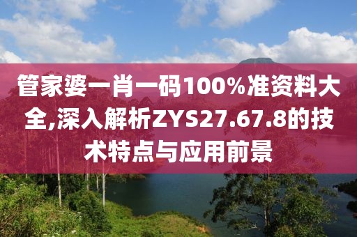 管家婆一肖一碼100%準(zhǔn)資料大全,深入解析ZYS27.67.8的技術(shù)特點(diǎn)與應(yīng)用前景