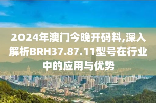 2O24年澳門(mén)今晚開(kāi)碼料,深入解析BRH37.87.11型號(hào)在行業(yè)中的應(yīng)用與優(yōu)勢(shì)