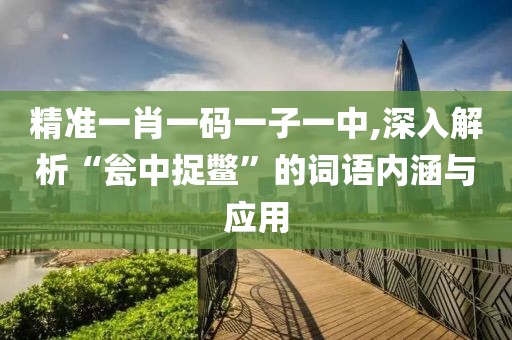精準(zhǔn)一肖一碼一子一中,深入解析“甕中捉鱉”的詞語內(nèi)涵與應(yīng)用