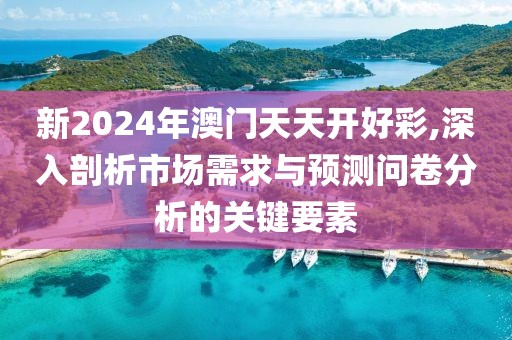 新2024年澳門天天開好彩,深入剖析市場需求與預(yù)測問卷分析的關(guān)鍵要素