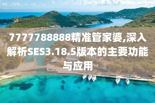 7777788888精準(zhǔn)管家婆,深入解析SES3.18.5版本的主要功能與應(yīng)用