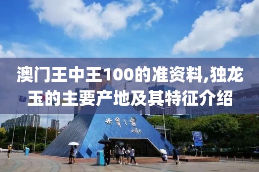 澳門王中王100的準資料,獨龍玉的主要產(chǎn)地及其特征介紹