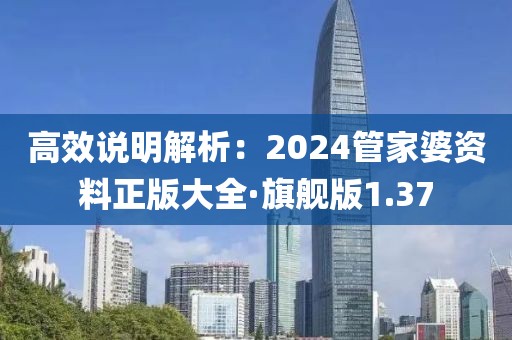 高效說明解析：2024管家婆資料正版大全·旗艦版1.37