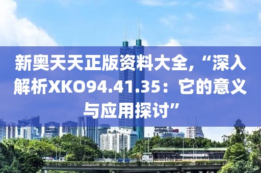 新奧天天正版資料大全,“深入解析XKO94.41.35：它的意義與應用探討”