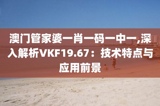 澳門管家婆一肖一碼一中一,深入解析VKF19.67：技術(shù)特點與應(yīng)用前景