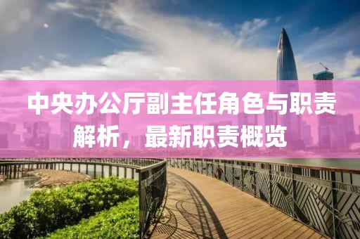 中央辦公廳副主任角色與職責(zé)解析，最新職責(zé)概覽