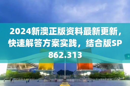 2024新澳正版資料最新更新，快速解答方案實(shí)踐，結(jié)合版SP862.313