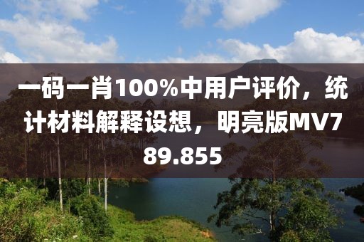一碼一肖100%中用戶評(píng)價(jià)，統(tǒng)計(jì)材料解釋設(shè)想，明亮版MV789.855