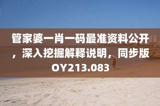 管家婆一肖一碼最準資料公開，深入挖掘解釋說明，同步版OY213.083