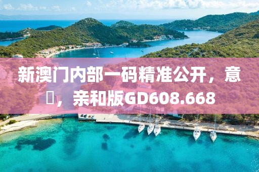 新澳門內(nèi)部一碼精準公開，意見，親和版GD608.668