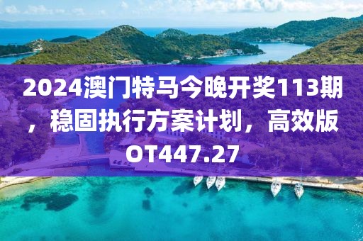 2024澳門特馬今晚開獎113期，穩(wěn)固執(zhí)行方案計劃，高效版OT447.27