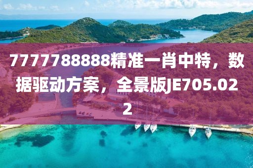7777788888精準(zhǔn)一肖中特，數(shù)據(jù)驅(qū)動(dòng)方案，全景版JE705.022