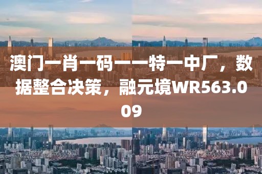 澳門一肖一碼一一特一中廠，數(shù)據(jù)整合決策，融元境WR563.009