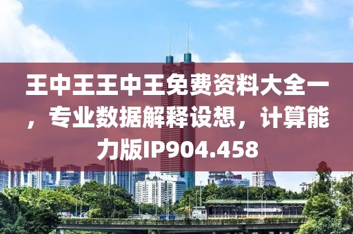 王中王王中王免費資料大全一，專業(yè)數(shù)據(jù)解釋設想，計算能力版IP904.458