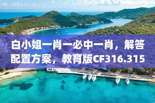 白小姐一肖一必中一肖，解答配置方案，教育版CF316.315