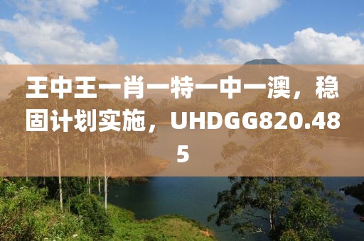 王中王一肖一特一中一澳，穩(wěn)固計劃實施，UHDGG820.485