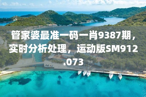 管家婆最準一碼一肖9387期，實時分析處理，運動版SM912.073