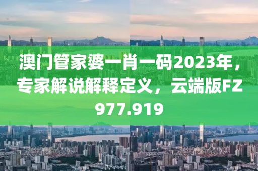 澳門管家婆一肖一碼2023年，專家解說解釋定義，云端版FZ977.919