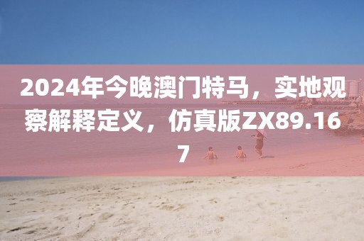 2024年今晚澳門特馬，實(shí)地觀察解釋定義，仿真版ZX89.167