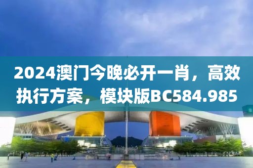 2024澳門今晚必開一肖，高效執(zhí)行方案，模塊版BC584.985