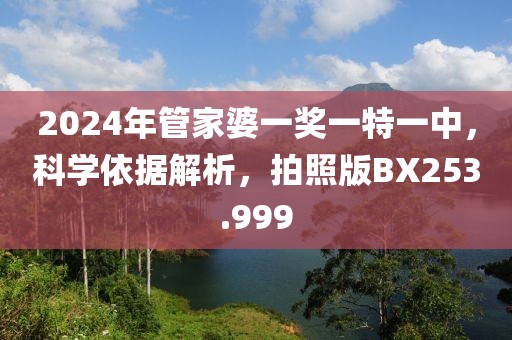 2024年管家婆一獎一特一中，科學(xué)依據(jù)解析，拍照版BX253.999
