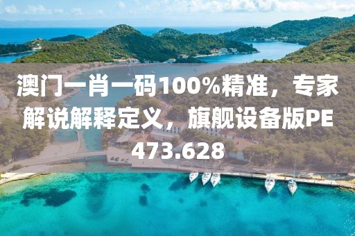 澳門一肖一碼100%精準(zhǔn)，專家解說解釋定義，旗艦設(shè)備版PE473.628