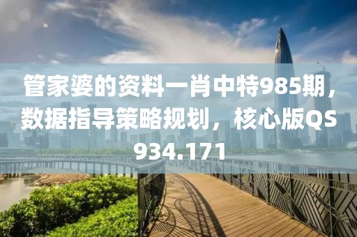 管家婆的資料一肖中特985期，數(shù)據(jù)指導(dǎo)策略規(guī)劃，核心版QS934.171
