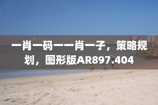 一肖一碼一一肖一子，策略規(guī)劃，圖形版AR897.404