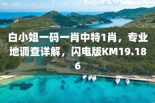 白小姐一碼一肖中特1肖，專業(yè)地調查詳解，閃電版KM19.186